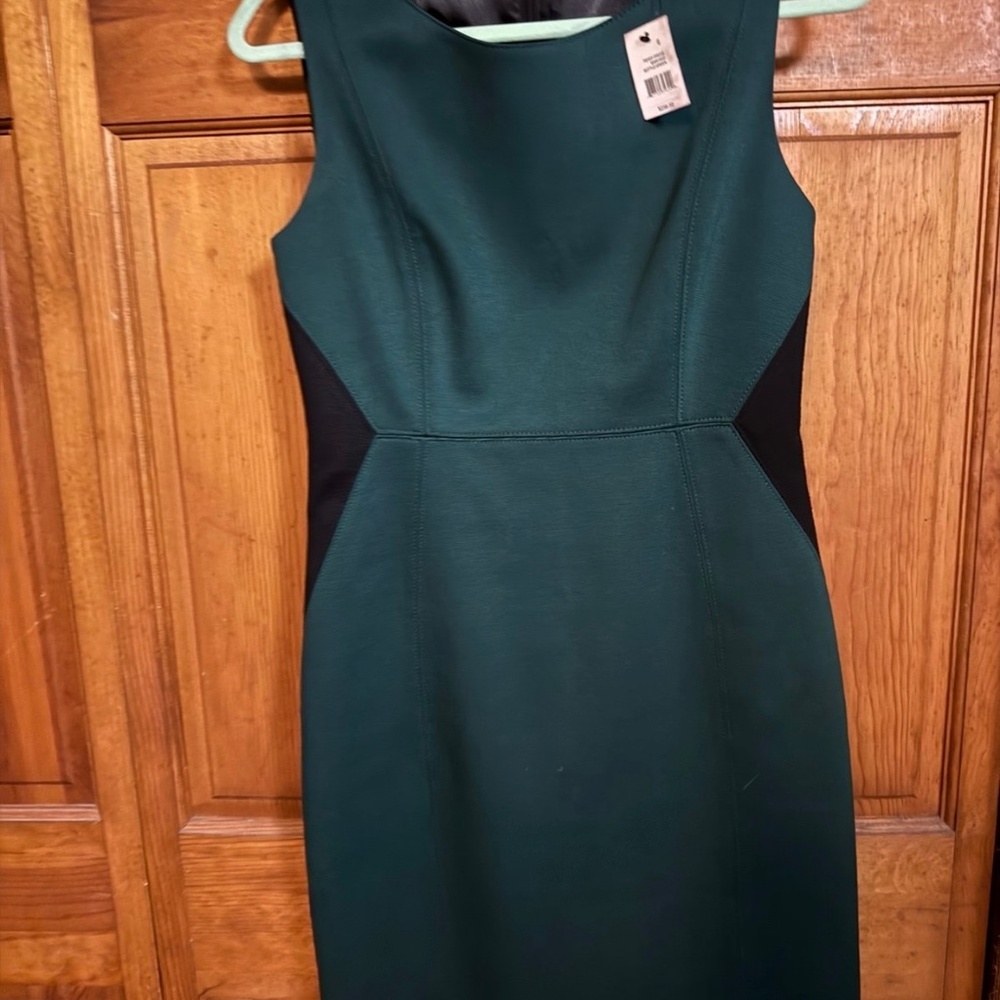 Tahari dress - size 6 - Forest green with black edged silouette